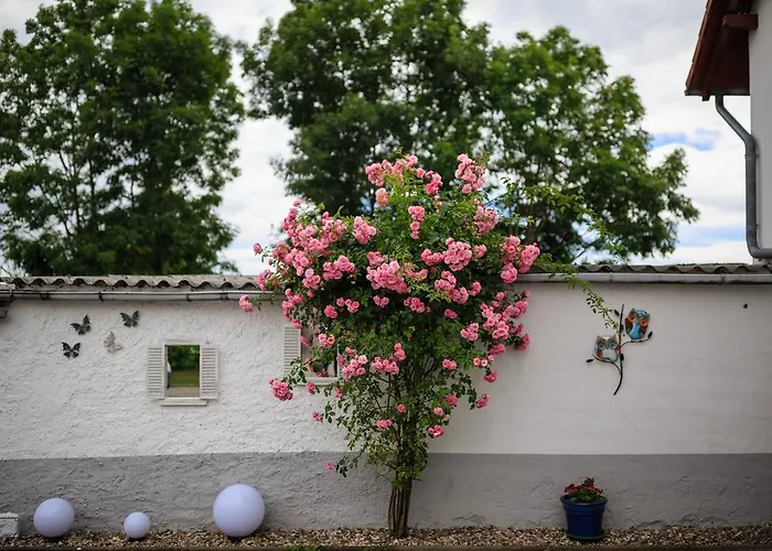 Hotel-pension Am Rosarium